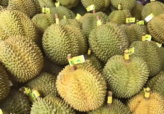 从越南进口榴莲到深圳要多久？