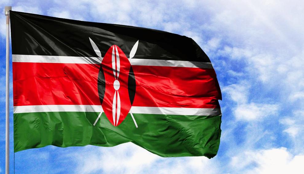 肯尼亚空运和海运哪个更划算？如何选择？