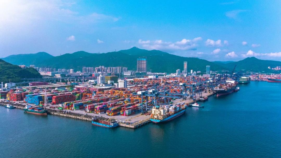 深圳盐田港 vs 上海洋山港：华南/华东出货到美西，核心船期、码头效率与拖车成本对比